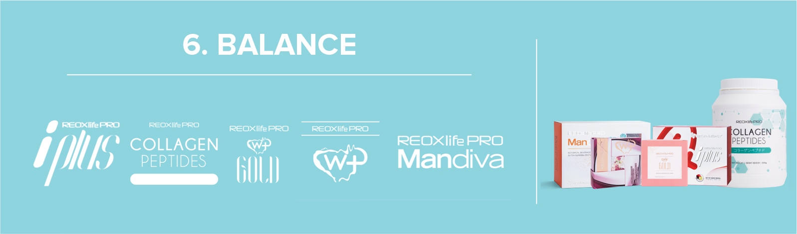 Legacy Ideal Fortify Essentials System