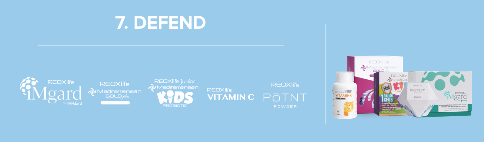 Legacy Ideal Fortify Essentials System